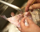 A picture of step 3 of Madai Ushiojiru (Red Sea Bream Fishbone Soup).
