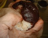 A picture of step 12 of Ohagi (to freeze-store for later).