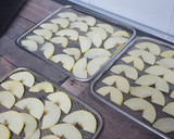 Foto del paso 3 de la receta: Manzana deshidratada en freidora de aire