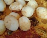 Foto langkah ke 3 dari resep Ayam Telur Kalio.