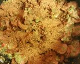 A picture of step 6 of White Girl Gumbo.