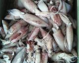 Foto langkah ke 1 dari resep Tumis cumi cabai hijau.