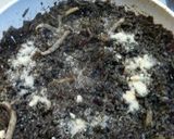 A picture of step 8 of Easy Homemade Squid Ink Risotto.