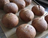 A picture of step 11 of Chewy Little Walnut-Raisin Whole Wheat Rolls.