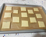 Foto del paso 13 de la receta: Hierbabuena en Galletitas