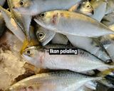 Gambar langkah 1 resipi 👩‍🍳Kangkung Asam Rebus Ikan Pelaling.