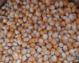 عکس مرحله 1 از دستور پفیلاهای من