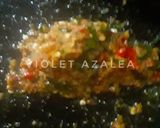 Foto langkah ke 4 dari resep Khao Pad Tom Yum Gai (ข้าวผัดต้มยำไก่) ala Violet Azalea.