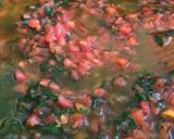 A picture of step 9 of Bacalao a la vizcaina (receta de mi abuelita).