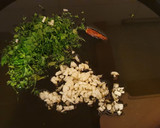 Foto del paso 4 de la receta: Spaghetti con le cozze e pomodorini