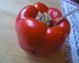 A picture of step 3 of Authentic Turkish Dolma (Rice-Stuffed Peppers).