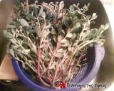 Purslane salad recipe step 1 photo