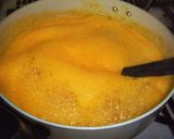 A picture of step 4 of Mandarin Orange Jam.