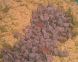 A picture of step 3 of Graham Cracker Chocolate Chip Cookies.