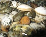 A picture of step 1 of Seafood! Spaghetti alle Vongole Rosso.