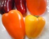 A picture of step 1 of How to Store Paprika in the Freezer.