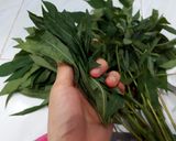 Foto langkah ke 1 dari resep Daun Singkong Kuah Santan.