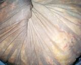 A picture of step 9 of Awara.