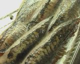 A picture of step 1 of Horse Mackerel Sashimi Tossed in Mustard Marinade.