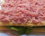 Foto del paso 2 de la receta: Pionono de Jamón, Rúcula Queso y Choclo