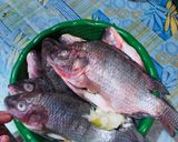 Foto langkah ke 1 dari resep Nila bakar teflon.