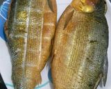 A picture of step 1 of Tinapa roll.