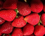 Foto del paso 1 de la receta: Trifásico de fresa 🍓
