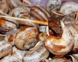 Foto del paso 13 de la receta: Caracoles con salsa