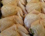 A picture of step 10 of Juicy Chicken Wing Gyoza.
