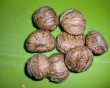 A picture of step 3 of Chestnut Rice.