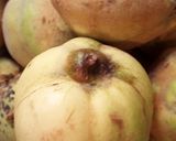 A picture of step 1 of Cotognata - Quince Jello.