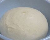 A picture of step 4 of Pain de Campagne-style Bread with Bread and Cake Flours - Version 2.