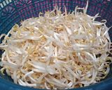 Foto langkah ke 4 dari resep Soto penggunggah selera (ala ku).
