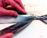 A picture of step 17 of How to Fillet a Whole Fish.