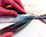 A picture of step 17 of How to Fillet a Whole Fish.