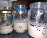 Foto langkah ke 6 dari resep Sourdough Starter 100% hydration (1:1).