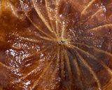 Une image de l'étape 8 de 🍾Galette 🫓 des rois 🫖crème de noisettes 🌰🌰🌰#janvier.