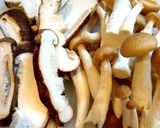 A picture of step 2 of Delicious Tarako and Mushroom Spaghetti.
