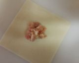 A picture of step 17 of Wanton Wonton Soup.