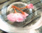 A picture of step 7 of Salt-Preserved Cherry Blossoms (in Plum Vinegar).