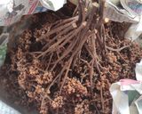 รูปขั้นตอนการทำที่ 7 ของ ส้าเนื้อวัวดิบ สูตรภาคเหนือ
