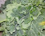 Foto del paso 2 de la receta: Raviolones con kale