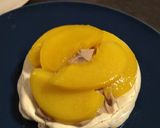 Une image de l'étape 5 de Pavlova.