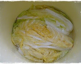 A picture of step 5 of Korean Kimchi from the Source.