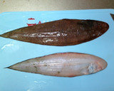 A picture of step 1 of How to Remove the Skin and Scales from Sole.