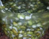 Foto del paso 1 de la receta: Porotos mug germinados