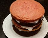 A picture of step 23 of Neapolitan Layer Cake.