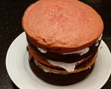 A picture of step 23 of Neapolitan Layer Cake.
