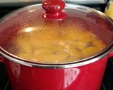 A picture of step 2 of Tinklee's Peach Pie Moonshine.