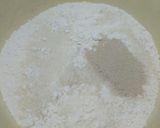 Foto langkah ke 2 dari resep Bakpao.